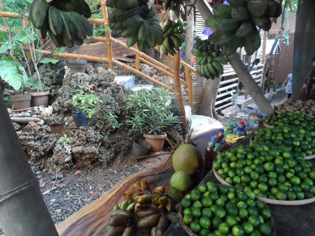 Victoria Guest House And Cottages Puerto Princesa Luaran gambar