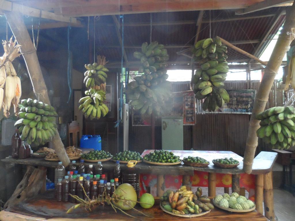Victoria Guest House And Cottages Puerto Princesa Luaran gambar