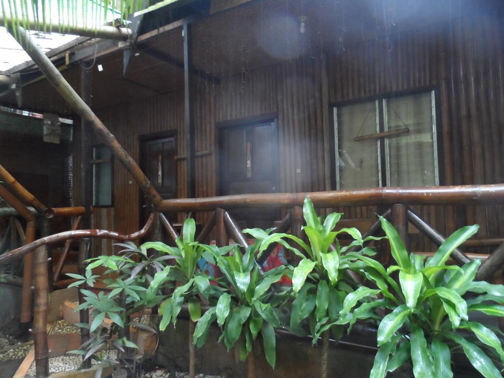 Victoria Guest House And Cottages Puerto Princesa Luaran gambar