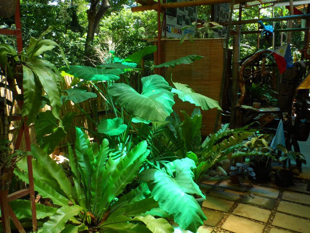 Victoria Guest House And Cottages Puerto Princesa Luaran gambar