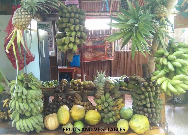 Victoria Guest House And Cottages Puerto Princesa Luaran gambar